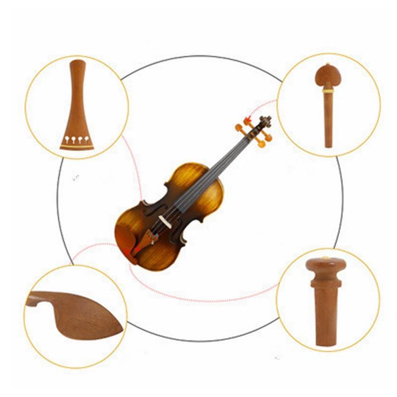 1 Set VL-10 Jujube Wood Tuner Pegs Polished Ebony Fiddle Pegs Violin Parts for 4/4 Violin - MRSLM