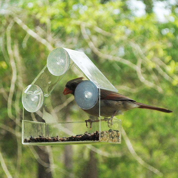 Acrylic Transparent Bird Squirrel Feeder Tray Birdhouse Window Suction Cup Mount - MRSLM