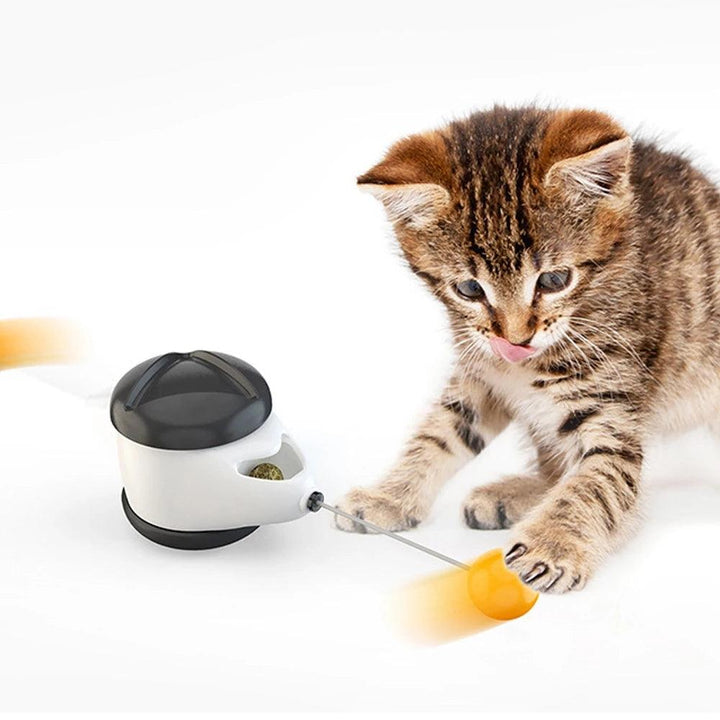 Irregular Cat Toy Rotating Ball Self-Balance Wheel Pet Toy Cute Interactive Toys Funny Kitty Toys Pet Supply - MRSLM