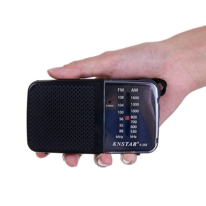 88-108MHz FM 530-1600KHz AM 2 Bands Radio Receiver for Elder (Black) - MRSLM