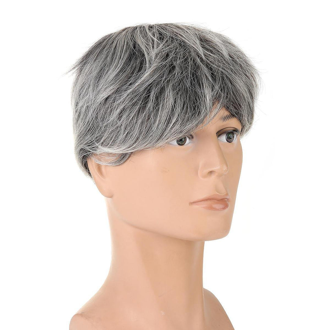 Middle And Old Age Men Short Straight Hair Cosplay High-temperature Fiber Wig - MRSLM