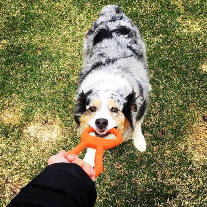 Tug O' War Toy - MRSLM